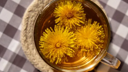 Beneficiile nenumărate ale ceaiului de PĂPĂDIE. Ajută la slăbit și elimină rapid toxinele din organism. Cum se prepară