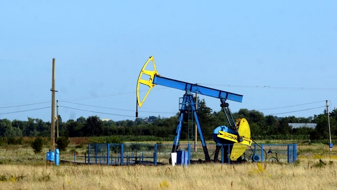 Cu cât au scăzut resursele de energie primară în prima lună a anului