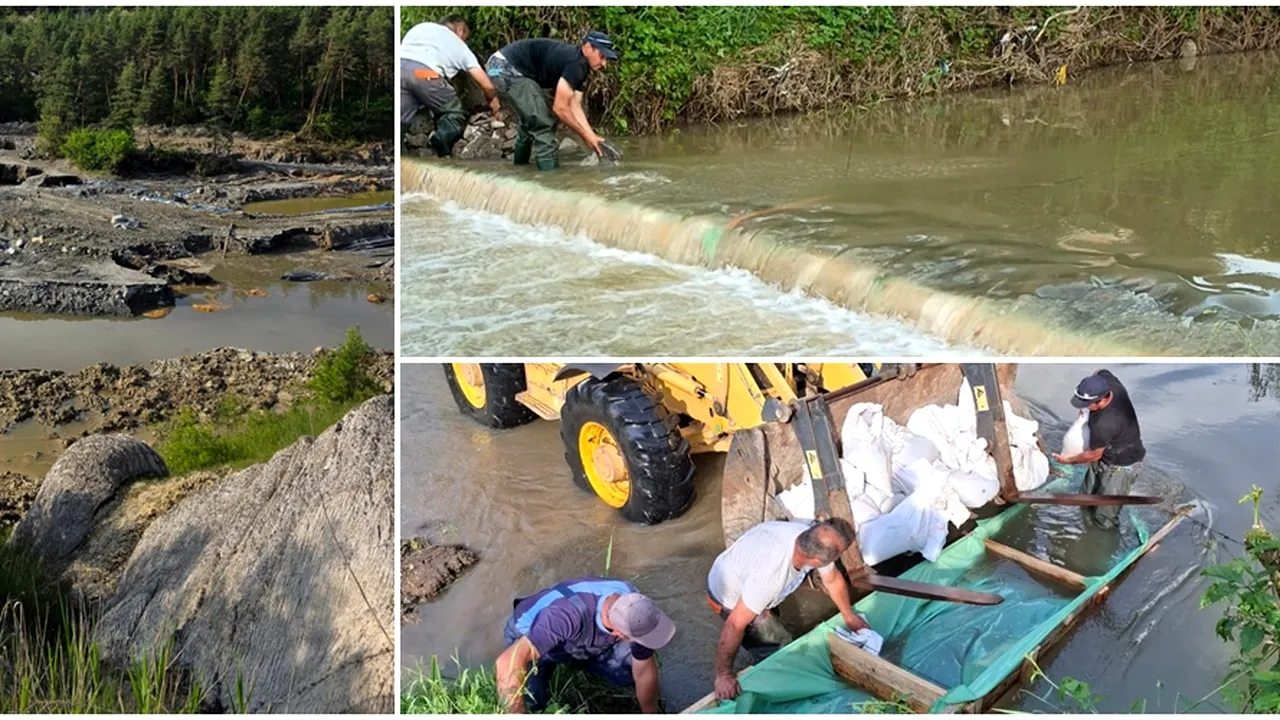 Mircea Fechet, după vizita de lucru la PRAID: „Situația rămâne critică”