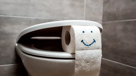 Cum se montează, de fapt, odorinzantul de toaletă. L-ai pus greșit până acum