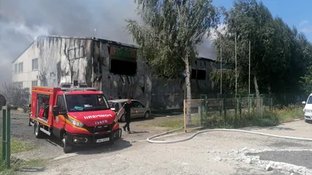 Incendiu devastator la o fabrică de prelucrare a furnirului din Brăila: Un om a murit CARBONIZAT