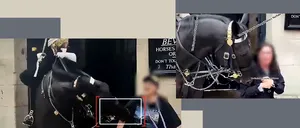O turistă ignorantă a fost onorată cu un TATUAJ permanent de un cal al Gărzii Regale în Londra