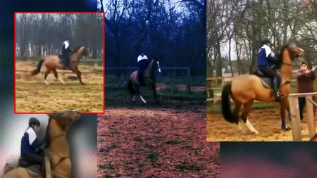 Un antrenor de la hipodromul din Craiova este acuzat că a lovit calul unei eleve