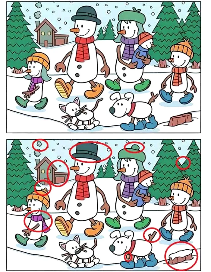 Test IQ exclusiv pentru genii | Câte diferențe sunt, în total, între cele două imagini?