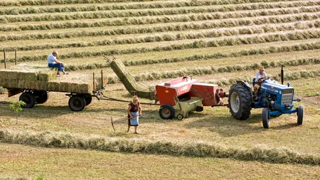 OPINIE. Sprijinul european nu este în măsură să salveze sectorul agroalimentar din România (Clubul Fermierilor Români)