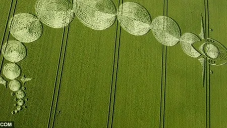 Apariție misterioasă într-un lan de grâu din Marea Britanie. GALERIE FOTO