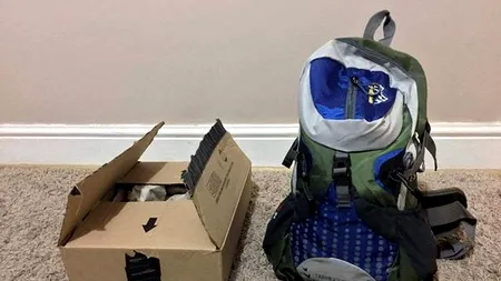 A primit un colet de la Amazon. Când a deschis pachetul, a rămas uimită: 