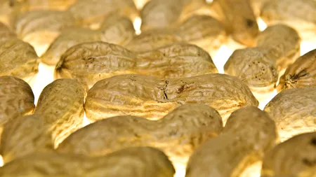 Două eleve au fost suspendate, după o FARSĂ făcută unei profesoare care este alergică la ALUNE. Femeia, la un pas de moarte