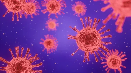 OMS: Este nevoie de mai multe săptămâni pentru a înțelege mai multe despre tulpina B.1.1.529 a SARS-CoV-2