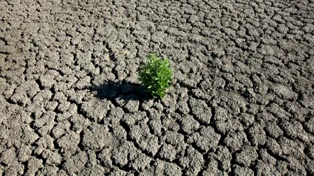 SECETĂ. Fermierii cu suprafețe declarate calamitate din cauza lipsei apei în sol vor primi o sumă forfetară. Vom avea deșert în sud-estul țării?