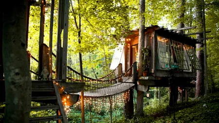 Cele mai frumoase 10 case în copac: una este în România