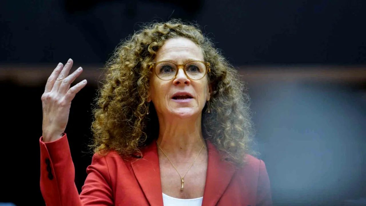 Europarlamentar olandez: 