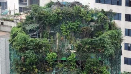 FOTO. Ce a construit un om de afaceri chinez pe un bloc 