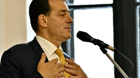 Ludovic - o Vasilică rătăcită în PNL