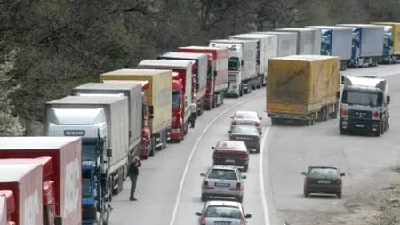 560 kg de marijuana, capturate dintr-un camion românesc la frontiera bulgaro-elenă 