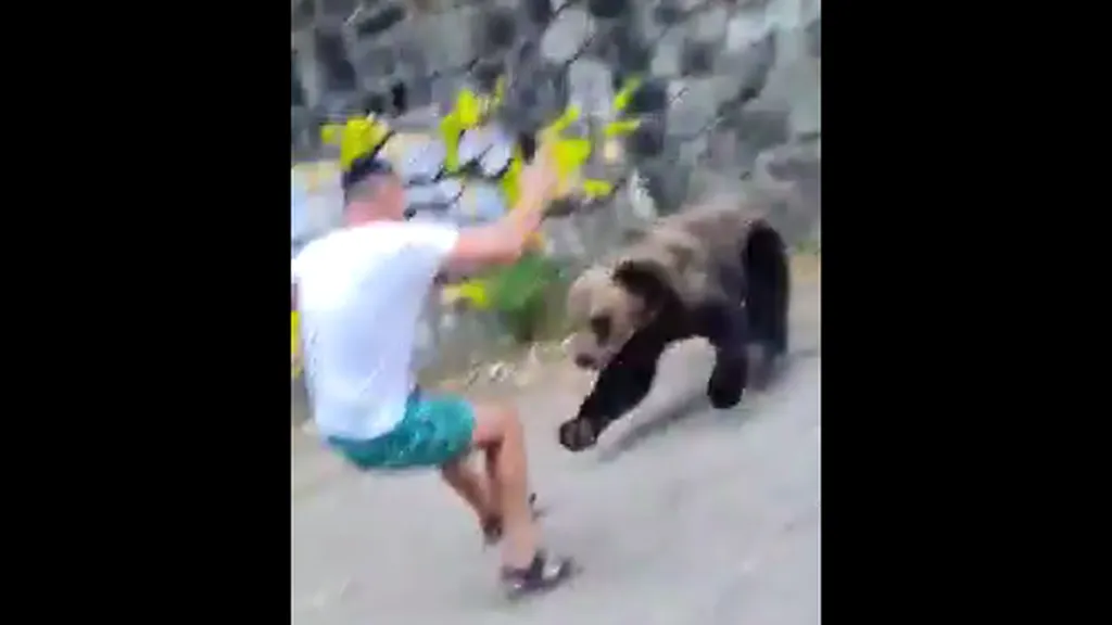 Turist filmat când e atacat de un urs, pe un drum din zona Barajului Vidraru. Bărbatul se apropiase prea mult de animalul sălbatic, cu telefonul în mână (VIDEO)