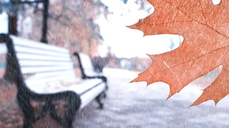 Meteorologii avertizează că urmează intensificări ale vântului. Pentru ce zone a emis ANM cod galben