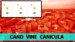 Când vine canicula în București. Meteorologii EaseWeather au anunțat data exactă