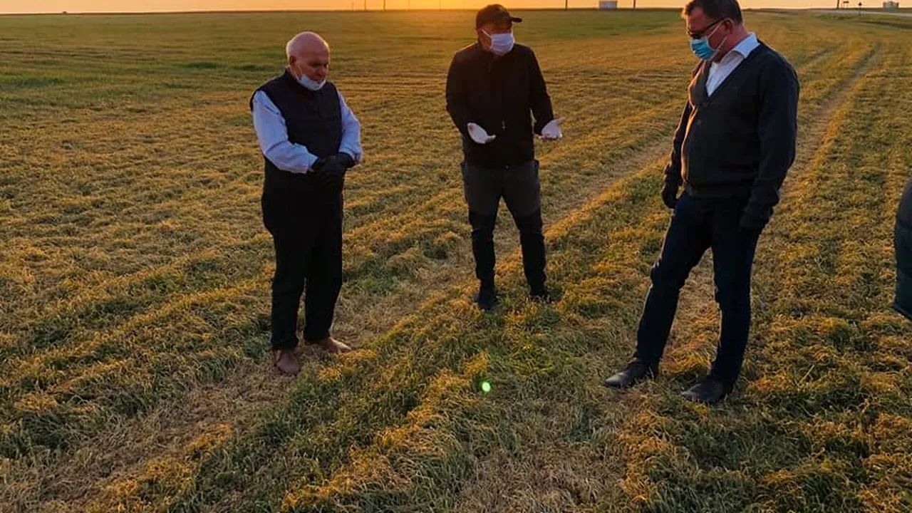 DEZASTRU alimentar aşteptat în estul României. Imagini cu câmpurile pârjolite de seceta extremă