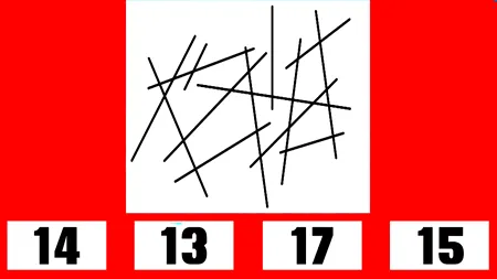 TEST IQ foarte greu | Câte linii apar în această poză: 14, 13, 17 sau 15?