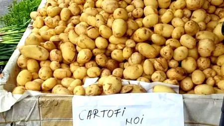 Cât costă 1 kg de CARTOFI noi/Prima recoltă pe 2025, în Dăbuleni, Dolj