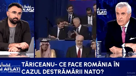 Tăriceanu, evaluare dură a politicii externe: ”România nu e în stare să lege legături cu țările mici, din jur”