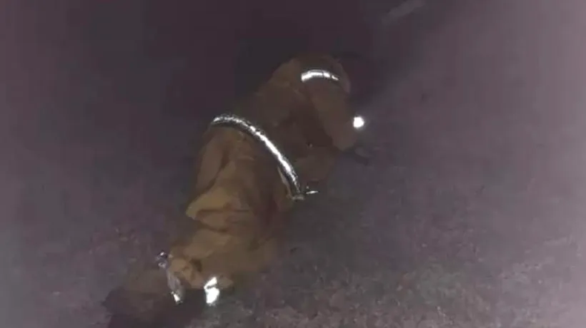 Imaginea emoționantă cu un pompier extenuat din Australia, care încearcă să se odihnească 5 minute între ture de 12 ore. A căzut în grădină, extenuat
