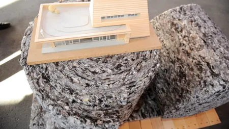 Cu lâna la control. Adrian Oros: „Colectarea s-a făcut doar scriptic”. S-au raportat cantități chiar și de 36 de kilograme de lână pe cap de animal