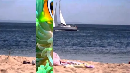 Descoperire macabră pe o plajă din Madagascar