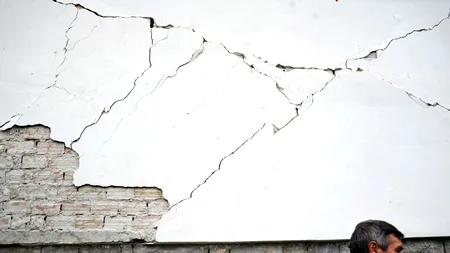 Zece persoane au fost atacate de corbi la Sofia. Presa sugerează că atacurile au legătură cu seismul de 5,9 grade din cursul dimineții