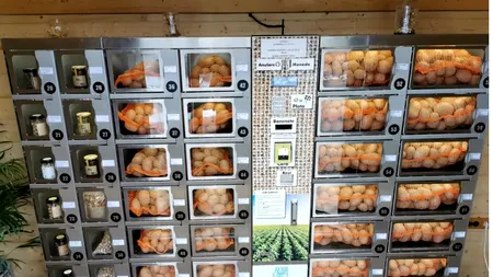 Aprozarul-tonomat, ideea de AFACERE care l-a îmbogățit pe un fermier din Bihor. „Cămara slovacului” de la șosea e deschisă non-stop