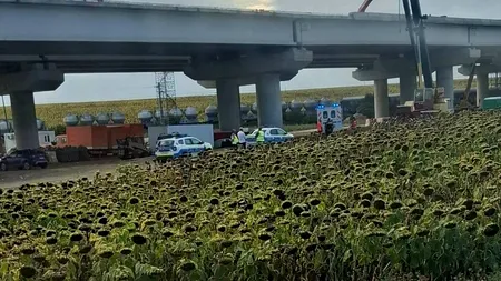 Accident mortal pe șantierul Autostrăzii A7 Bacău - Pașcani. Un muncitor a căzut de pe podul aflat în construcție la Filipești