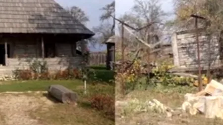 VAI ȘI AMAR! Casa în care a copilărit BRÂNCUȘI s-a prăbușit: O RUINĂ cu buruieni