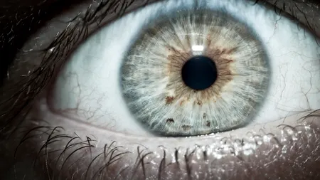 Cum ne sunt afectați ochii de privitul la calculator sau smartphone