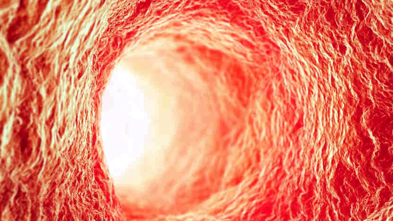 Premieră în medicină: pot fi create artificial vase de sânge care se pot dezvolta în interiorul organismului. Importanța descoperirii