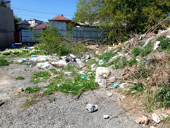 Primăria Sectorului 2, amendată de Garda de Mediu București cu 50.000 de lei / Sursa foto: Garda de Mediu