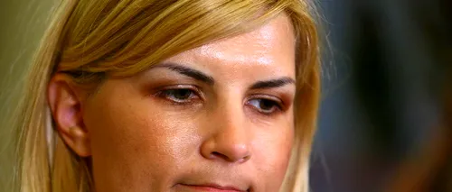 ICCJ decide dacă îi permite sau nu Elenei Udrea să meargă luni la Parlament