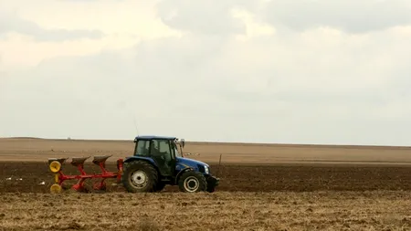 Propunerea ARD pentru mediul rural: să se plătească doar asigurările de sănătate pentru oamenii angajați la munci agricole