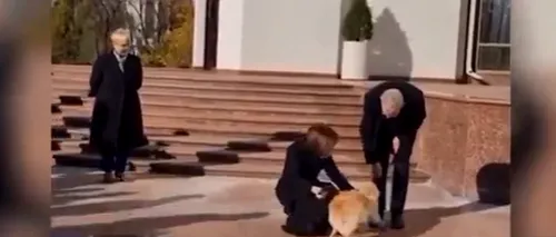 VIDEO. „Codruț”, câinele Maiei <i class='ep-highlight'>Sandu</i>, l-a muşcat pe preşedintele Austriei. Momentul a fost înregistrat