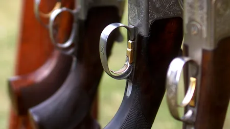 Un urs, care a speriat oamenii din două comune din Bistrița-Năsăud, este căutat pentru a fi împușcat