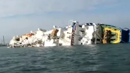 Cazul celor 14.000 de oi din Portul Midia | Câte animale au fost salvate