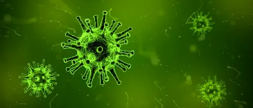 OMS avertizează că boala provocată de COVID nu poate fi tratată precum gripa
