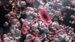 Simptomele virusului care a speriat America. Ce trebuie să știi despre Hantavirus