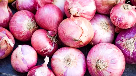 „Calendarul de ceapă” și „Calendarul din cărbuni”, două tradiții vechi de sute de ani folosite și acum de bătrânii de la sate. Ce înseamnă ele și ce le arată agricultorilor