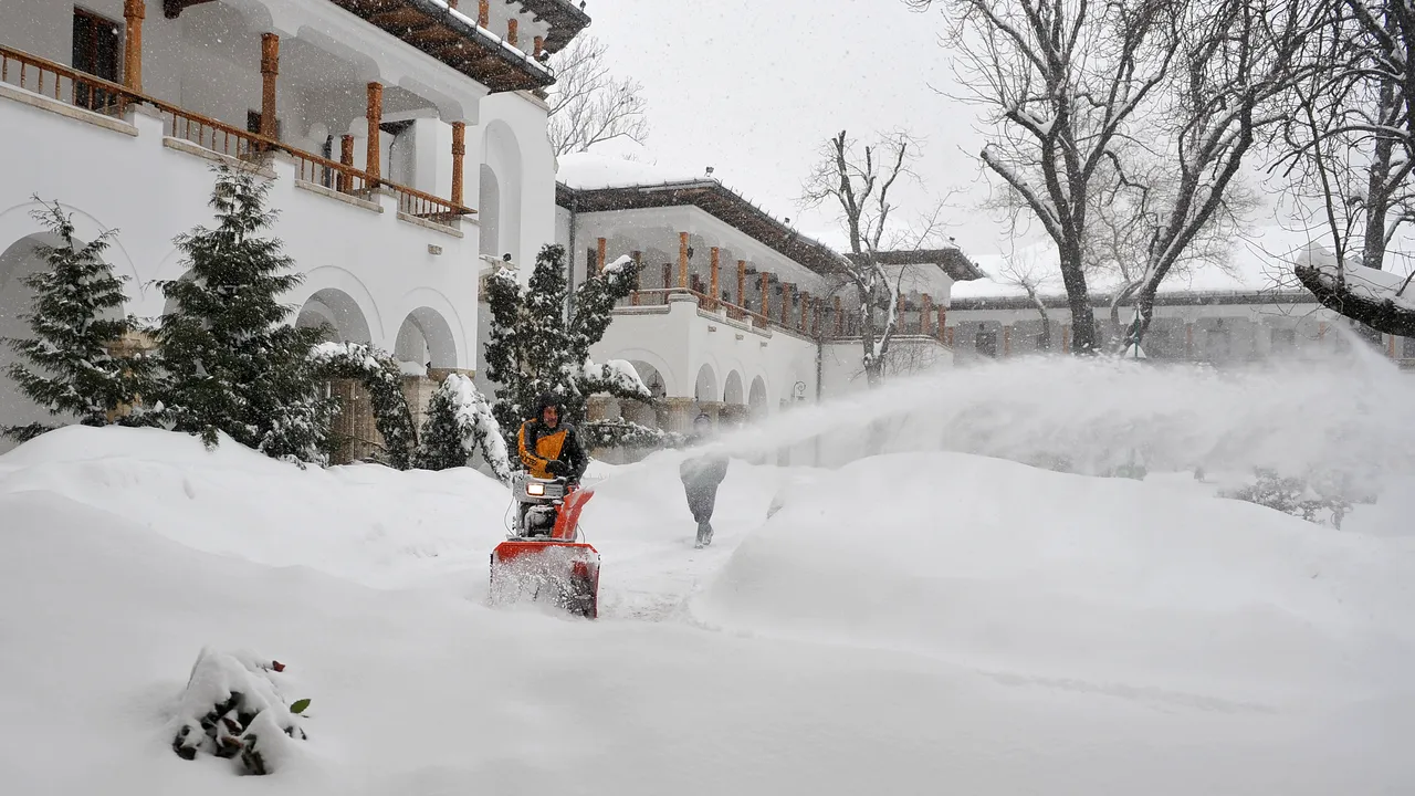 Surpriză: Ce a „răsărit