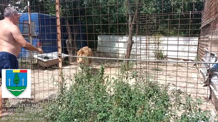 Foto: Garda de Mediu