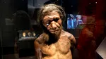 Descoperire importantă într-un sit din România. Neanderthalienii aveau o tehnologie mai avansată decât se credea