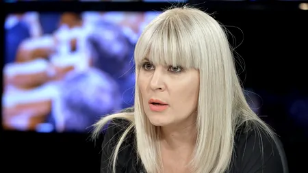 Elena UDREA rămâne în închisoare. Decizia privind revizuirea condamnării, amânată pentru 12 decembrie