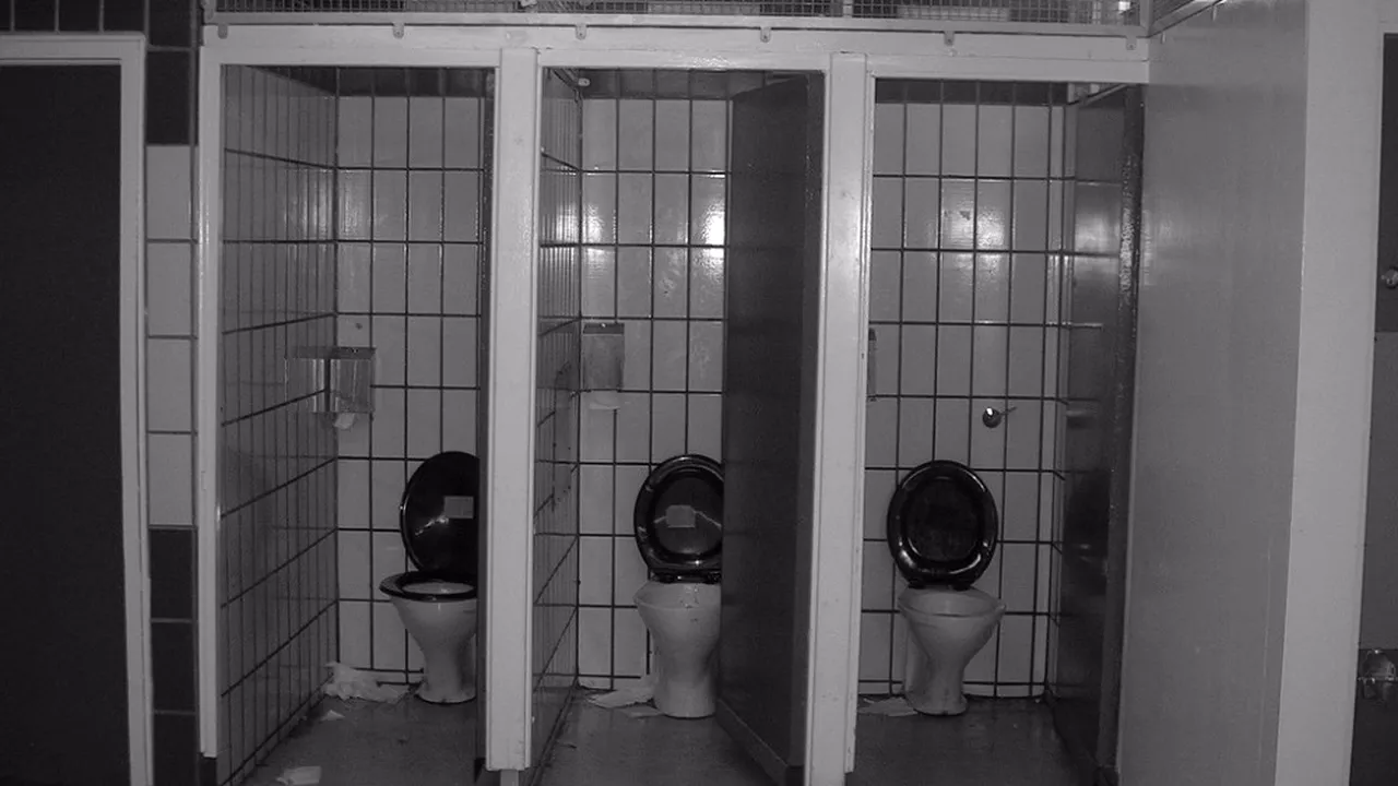 Cum să eviți contractarea diverselor boli atunci când folosești o toaletă publică