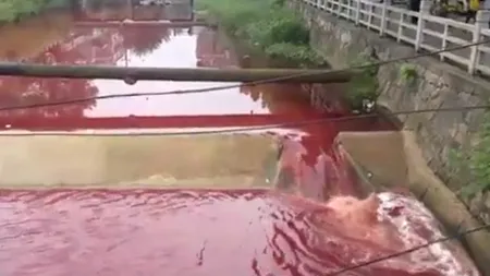 Râu de sânge într-un oraș din China. Imagini șocante 